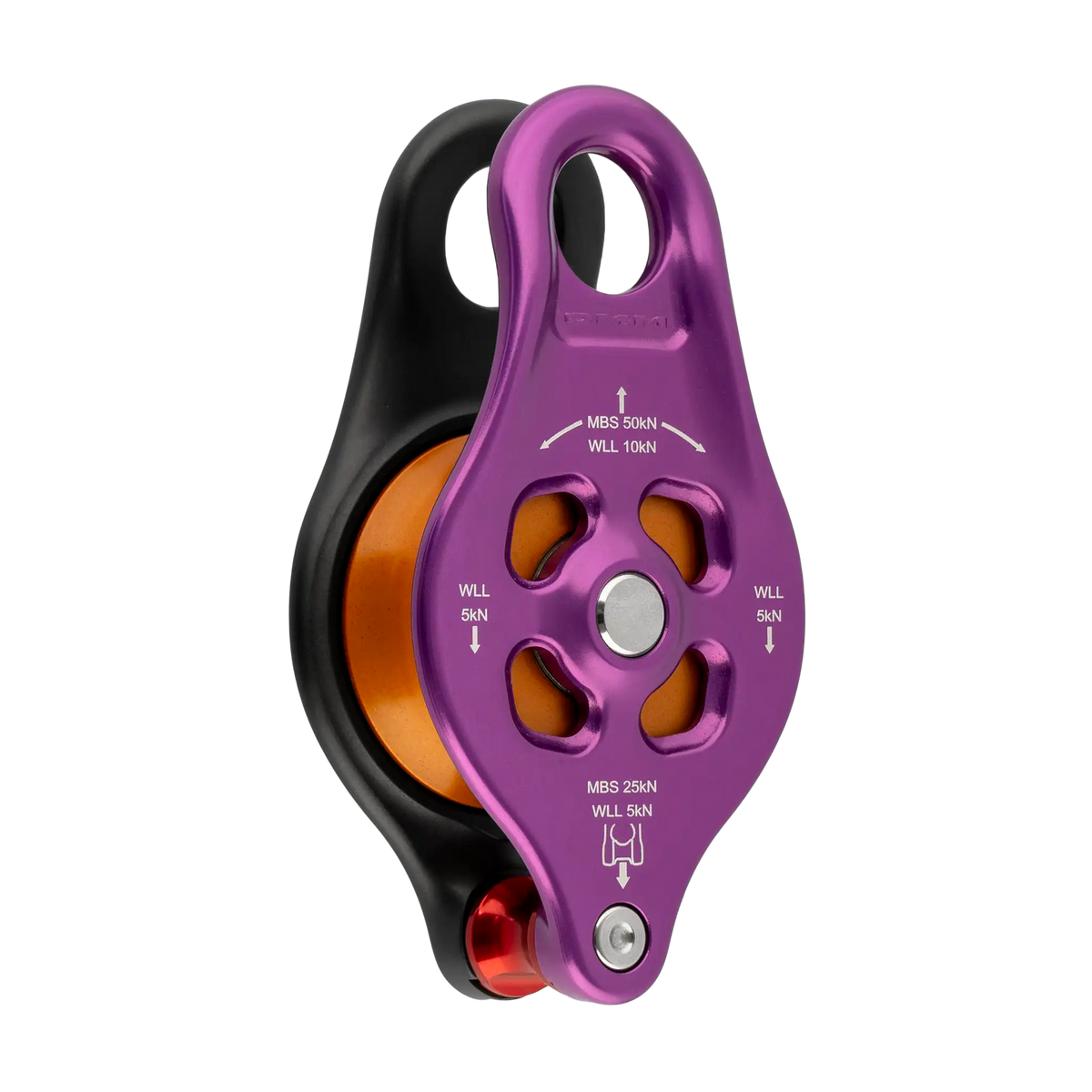 DMM Pinto Rig 2 – violett