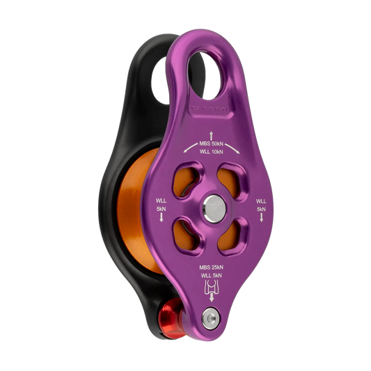 DMM Pinto Rig 2 – violett